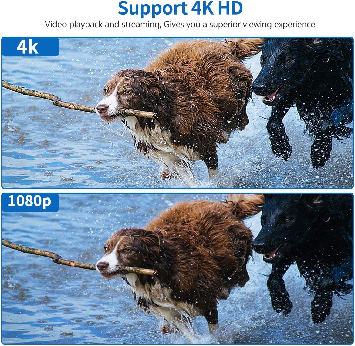 Exclusive Mini PC AWOW Desktop Computer Windows 10 Intel Celeron N3450/6GB DDR4 128GB SSD/Dual LAN/ 2.4G+5G Dual Band WiFi/4K HD/Bluetooth/HDMI AK34 Buy 2 get 3 Mini PC AWOW Desktop Computer Windows 10 Intel Celeron N3450/6GB DDR4 128GB SSD/Dual LAN/ 2.4G+5G Dual Band WiFi/4K HD/Bluetooth/HDMI AK34