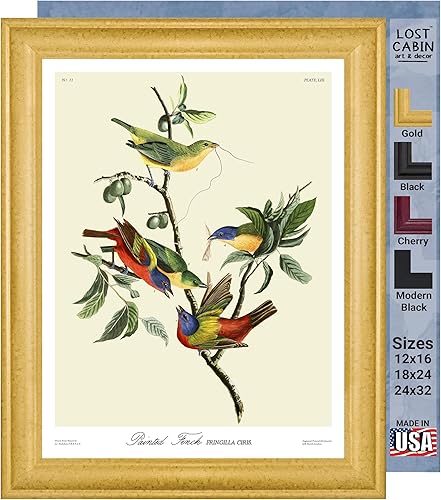 Pinzón pintado por James Audubon Lienzo enmarcado para decoración de pared, lienzos y pósteres de reproducción de pintura fina  Impresión de galería
