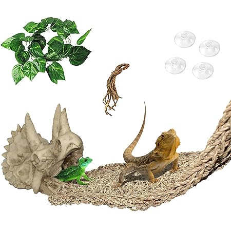 lizard tank accessories