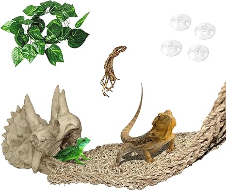 snake cage accessories