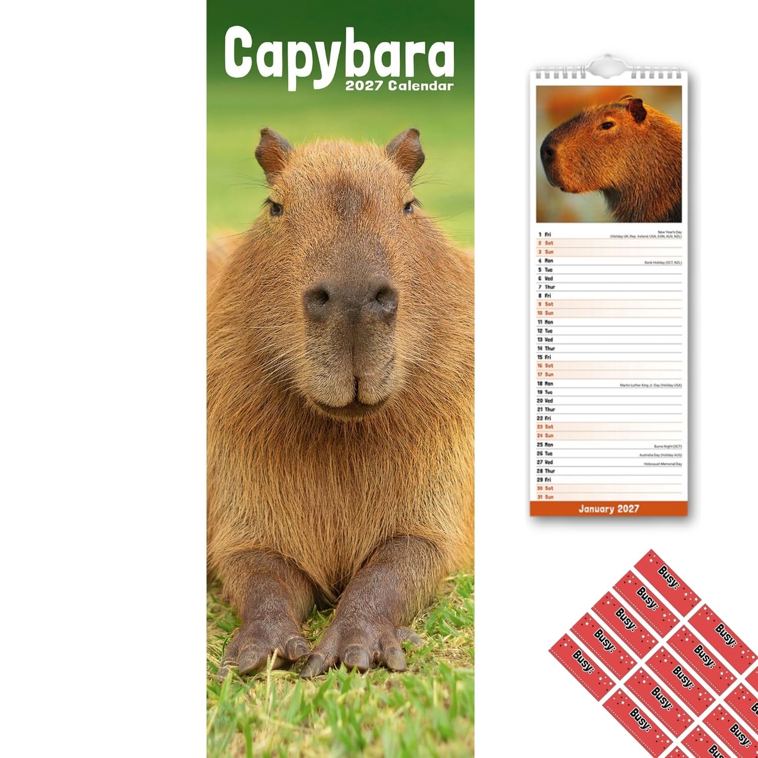 Avonside Capybara 2027 Slimline Calendar with Organisational Stickers