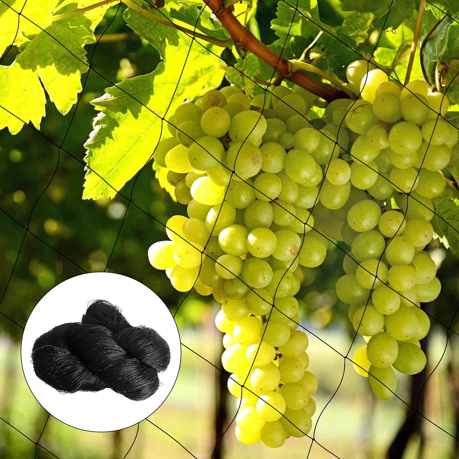 Filet De Protection Anti-Oiseaux Calayu - 10x10m - Nylon Résistant - Pour Légumes, Fruits, Bassin