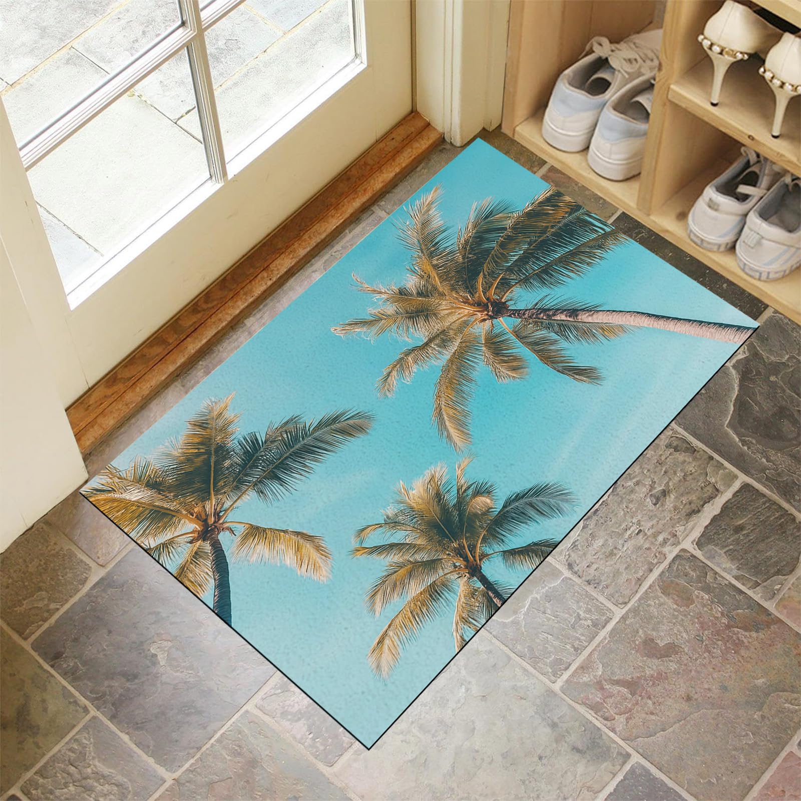 Paillasson intérieur entrée absorbant et tapis lavable ultra résistant