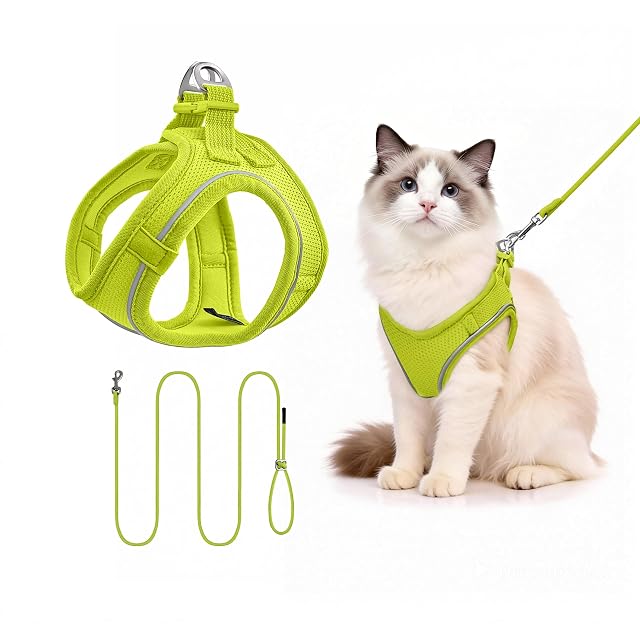 Arnés para Gatos con Correa 255cm S (Pecho 39-47cm) Verde Limón