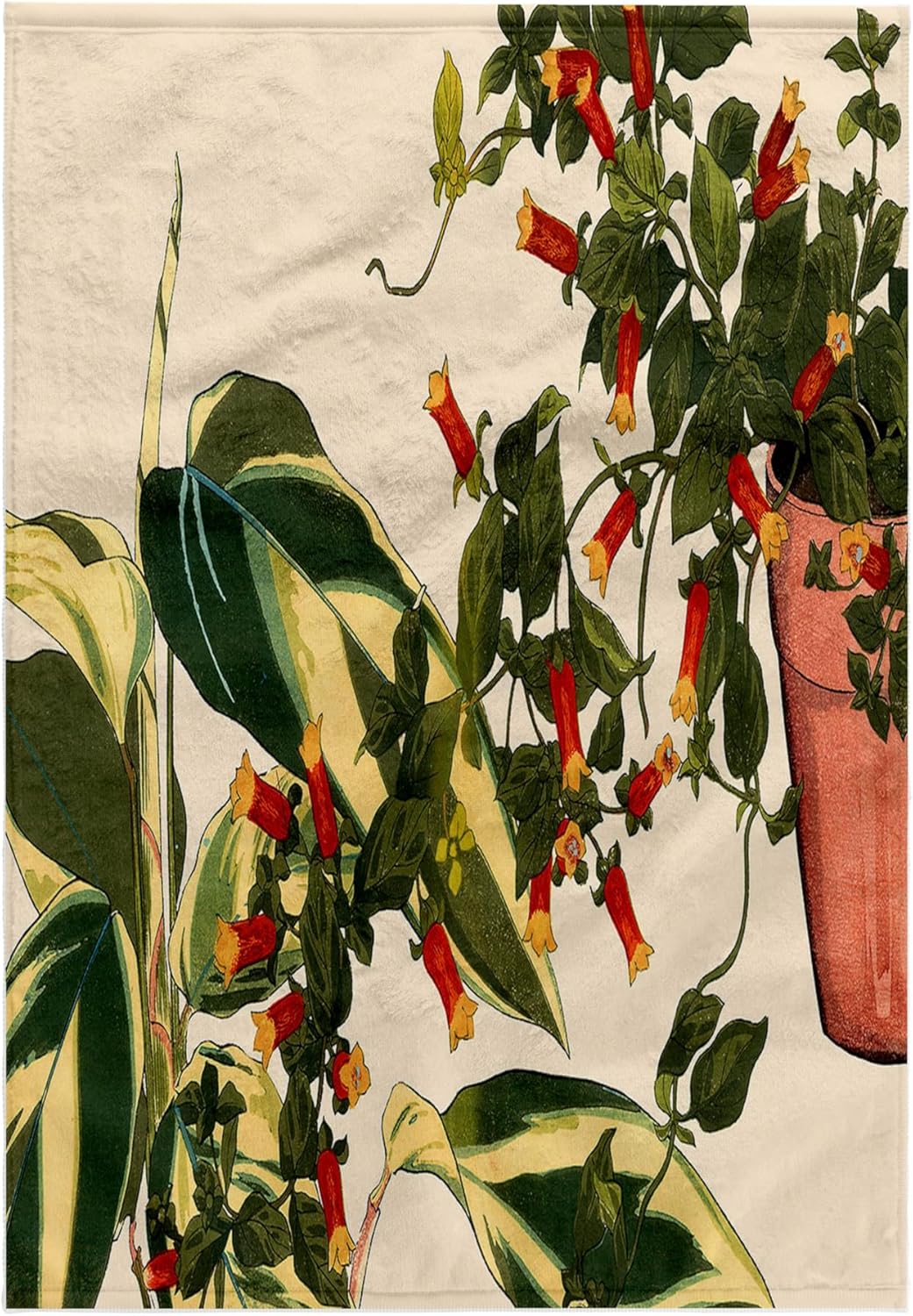 3dRose Potted Manettia or Firecracker Vine and Maranta 22x30 Bath Hand Pool Towel