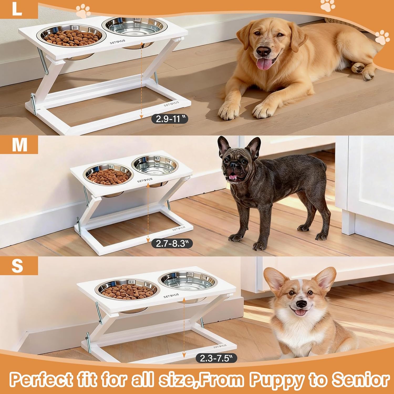 Elevated Dog Bowl, Anti-Slip Feeder, Adjustable Elevated Dog Bowl Stand, 0-20° Tilt Water Bowl with 2 Stainless Steel Food Bowls Dishwasher Safe, Suitable for Small Dogs, Puppies and Cats (White)