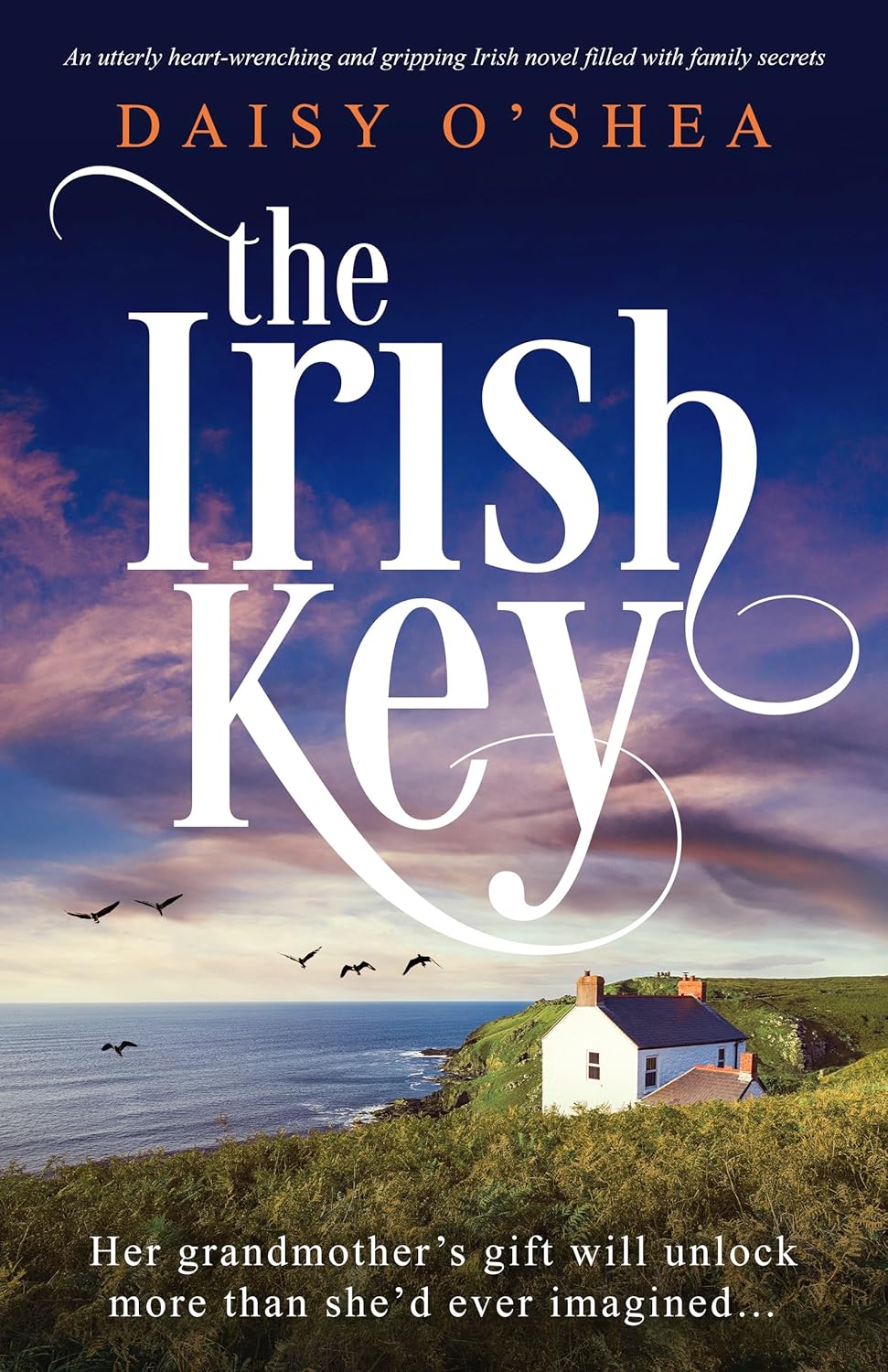 The Irish Key An utterly heartwrenching and gripping Irish novel