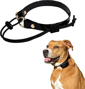 eCollar Replacement Strap Bungee Style - Waterproof Polyurethane Collar Compatible with Garmin, Dogtra, SportDOG, Educator Black, 1" - Width