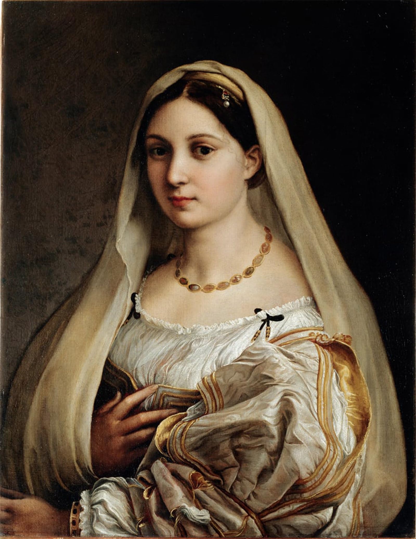 ARTXLXXBN Famous Painting Art Wall Decor Abstract Art Picture Portrait of Lady Called the Voilee by Raphael Animal Pictures for Home Decor 60x90cm