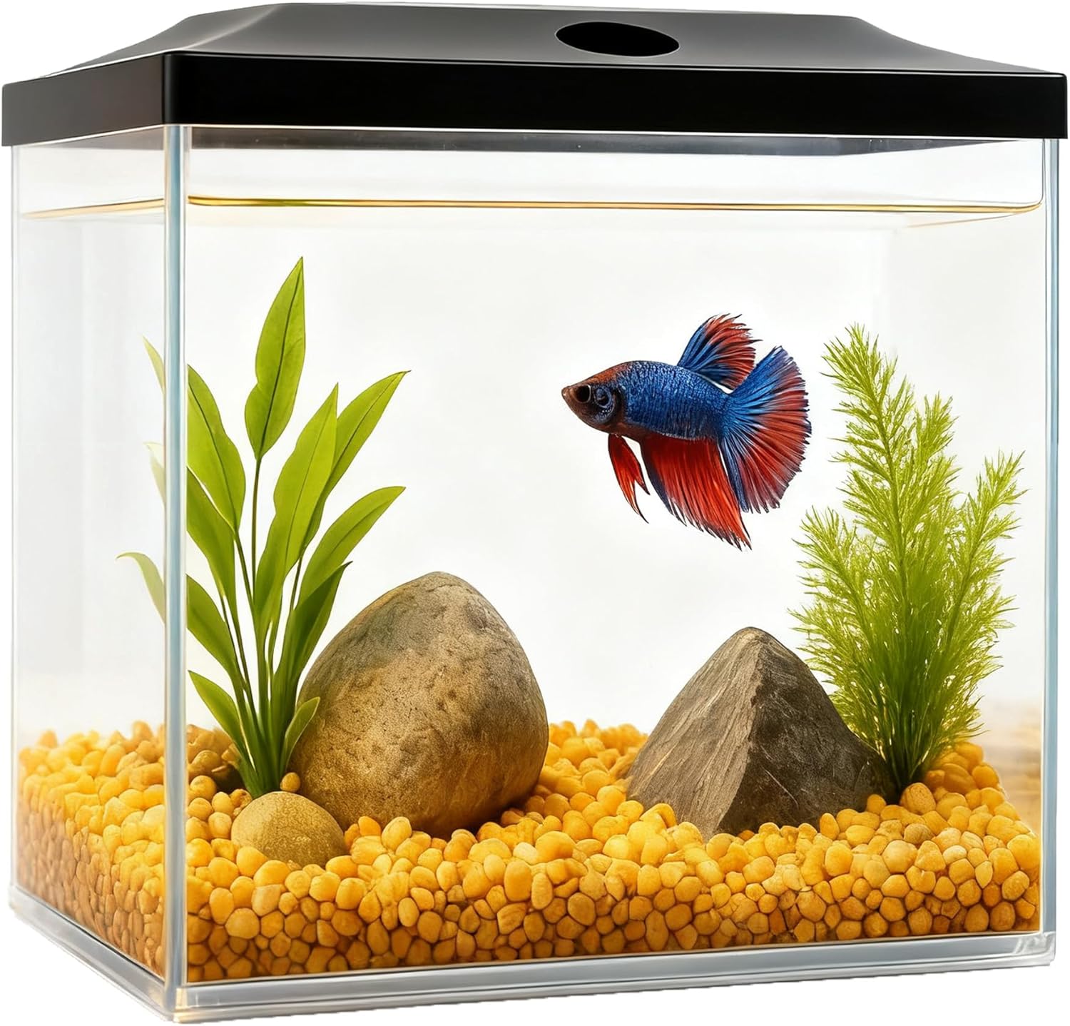 0.8-Gallon Cube Fish Bowl, Shatterproof Plastic Fish Bowl with LED Lighting, Temporary Fish Tank for Isolation, Decoration & Education