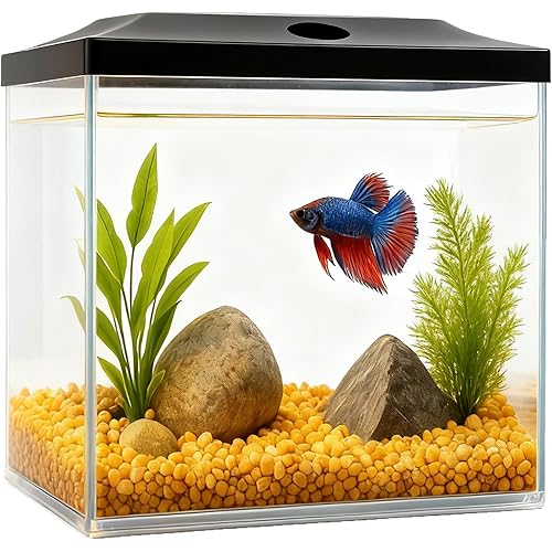 0.8-Gallon Cube Fish Bowl, Shatterproof Plastic Fish Bowl with LED Lighting, Temporary Fish Tank for Isolation, Decoration & Education