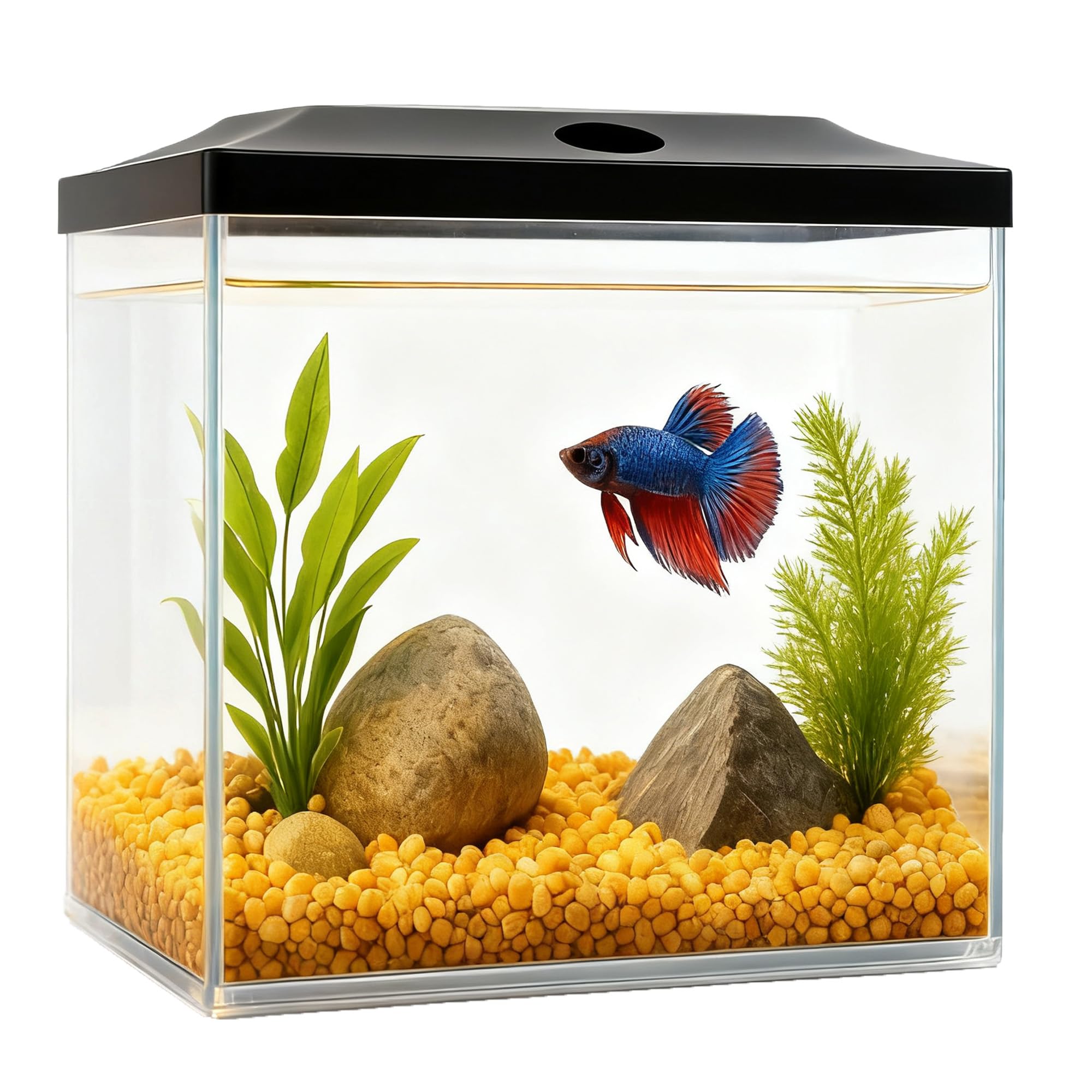 Bol à poisson incassable en plastique de 0,8 gallon doté d'une lampe LED de rechange