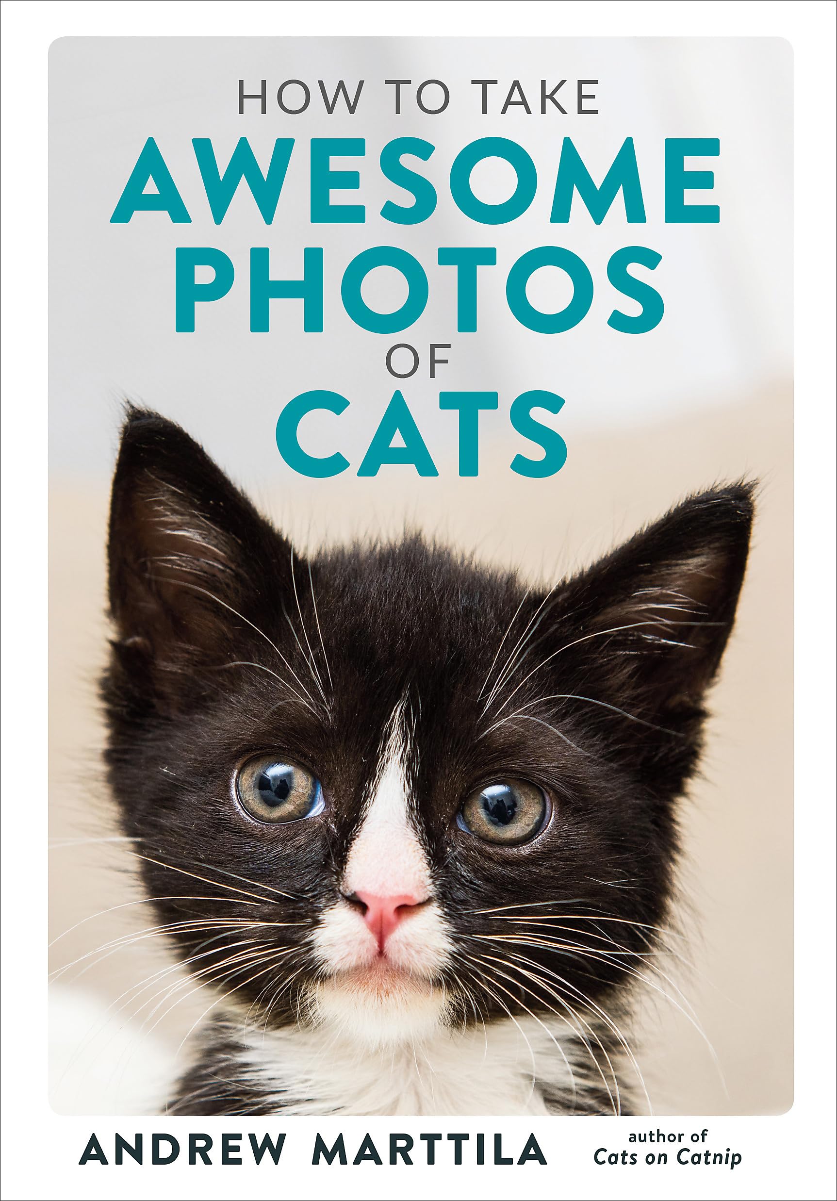 How to Take Awesome Photos of Cats-Andrew Marttila