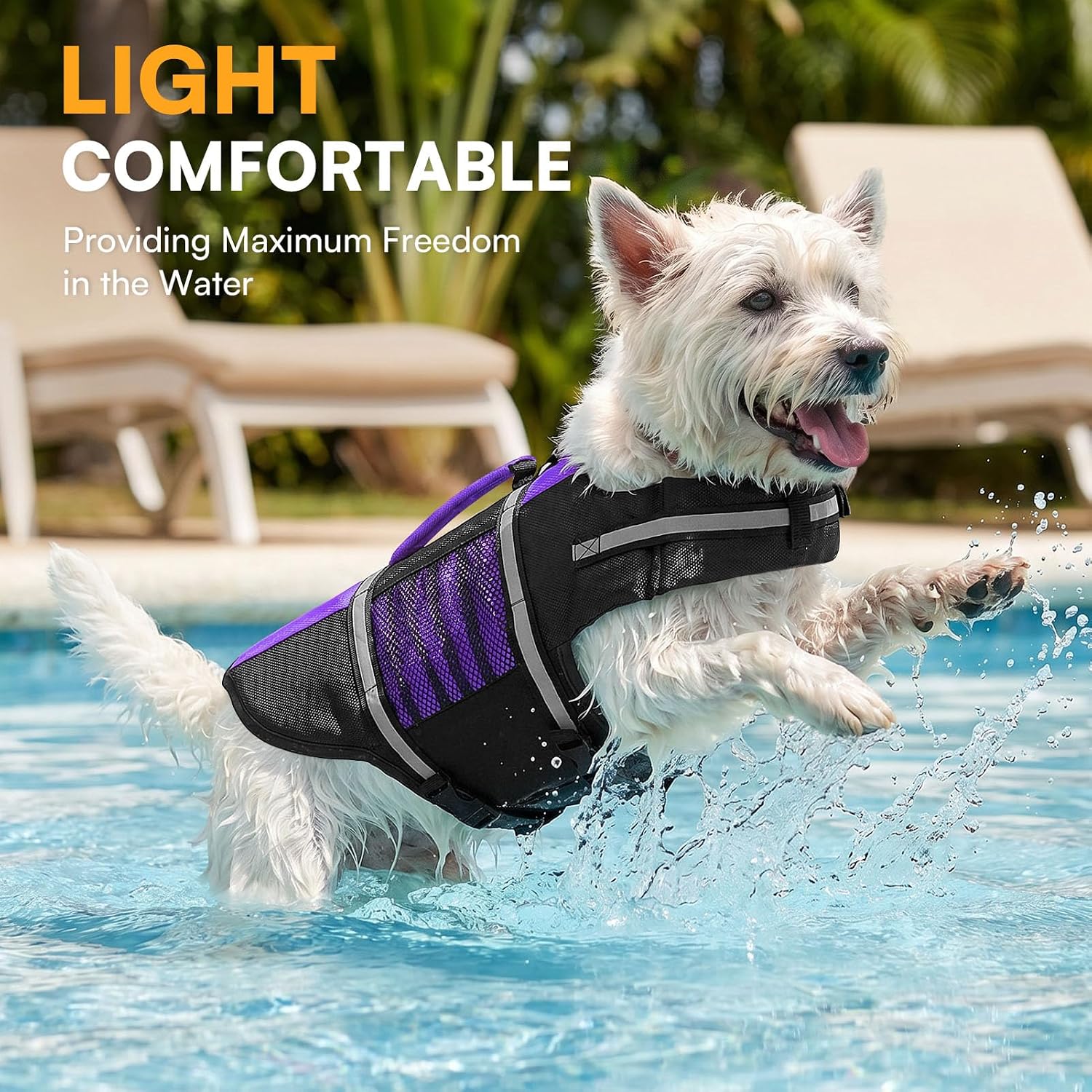 Queenmore Small Dog Life Jacket, Adjustable Pet Life Vest for Small and Medium Dogs with High Buoyancy, Rescue Handle, Reflective Bands for Boating, Canoeing, Swimming