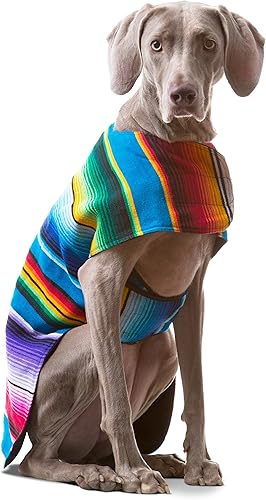 Dog Clothes - Handmade Dog Poncho from Authentic Mexican Blanket by Baja Ponchos (Blue, X-Large)