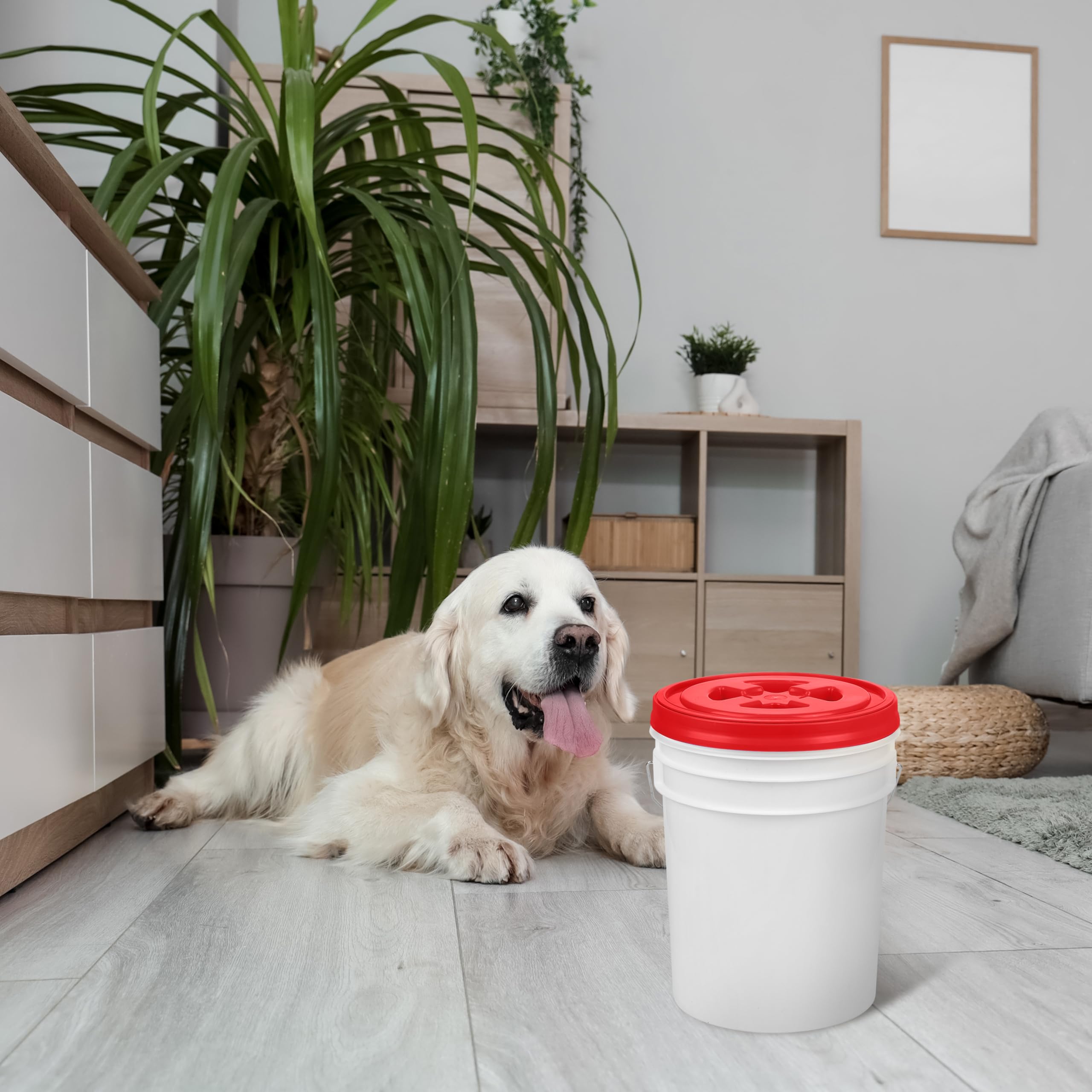 Aodaer Coperchio a tenuta stagna gamma da 4 pezzi, coperchio a spirale per alimenti, coperchio riutilizzabile, coperchio in plastica, coperchio per contenitori per alimenti (rosso, giallo, blu, verde)