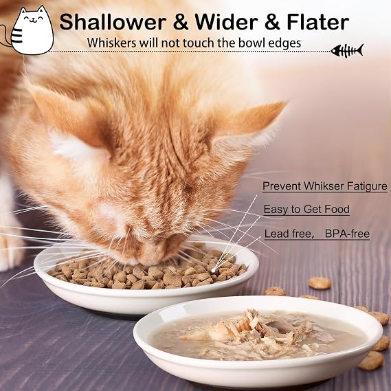 WROSWT Cat Food Bowl,Healthy Ceramic Cat Bowls for Indoor Cats,Anti Whisker Fatigue Cats Dishes Set,Shallow Wide Kitten Plates for Food and Water,Non-Slip Silicone Bottom,3 Pack