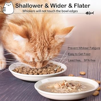 WROSWT Cat Food Bowl,Healthy Ceramic Cat Bowls for Indoor Cats,Anti Whisker Fatigue Cats Dishes Set,Shallow Wide Kitten Plates for Food and Water,Non-Slip Silicone Bottom,3 Pack