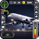 🌍 Explore 3D Environments: Fly over mountains, cities, oceans, airports, and scenic landscapes.