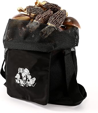Qchengsan Collapsible Fruit Mushroom Basket - Mesh Foraging Pouch - Harvesting Bag