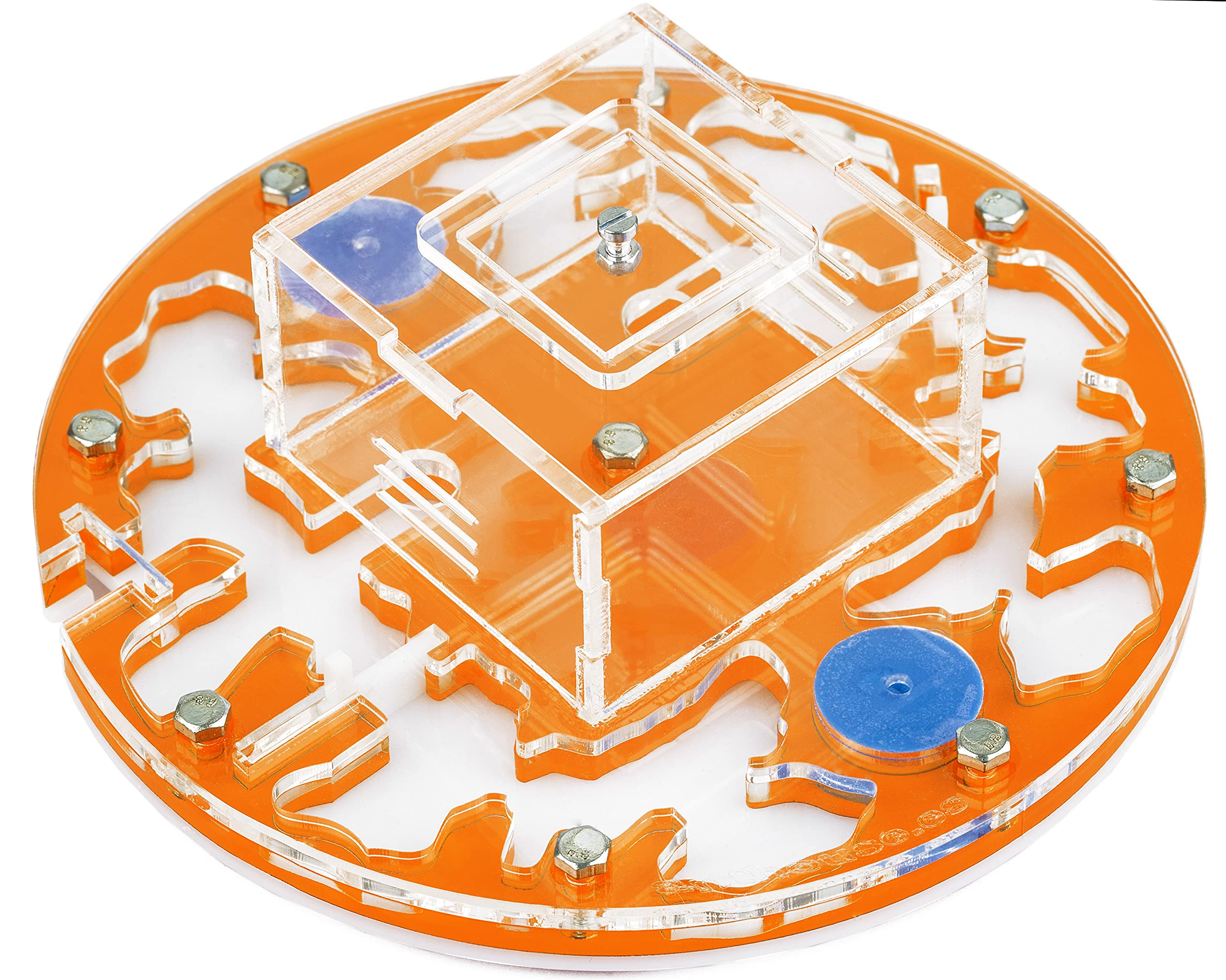 AntHouse.es - Hormiguero Acrílico Medium-Círculo 15x15x1,3 cm con Tapadera | Sistema de Humedad por Espuma | Naranja | Hormigas Incluidas