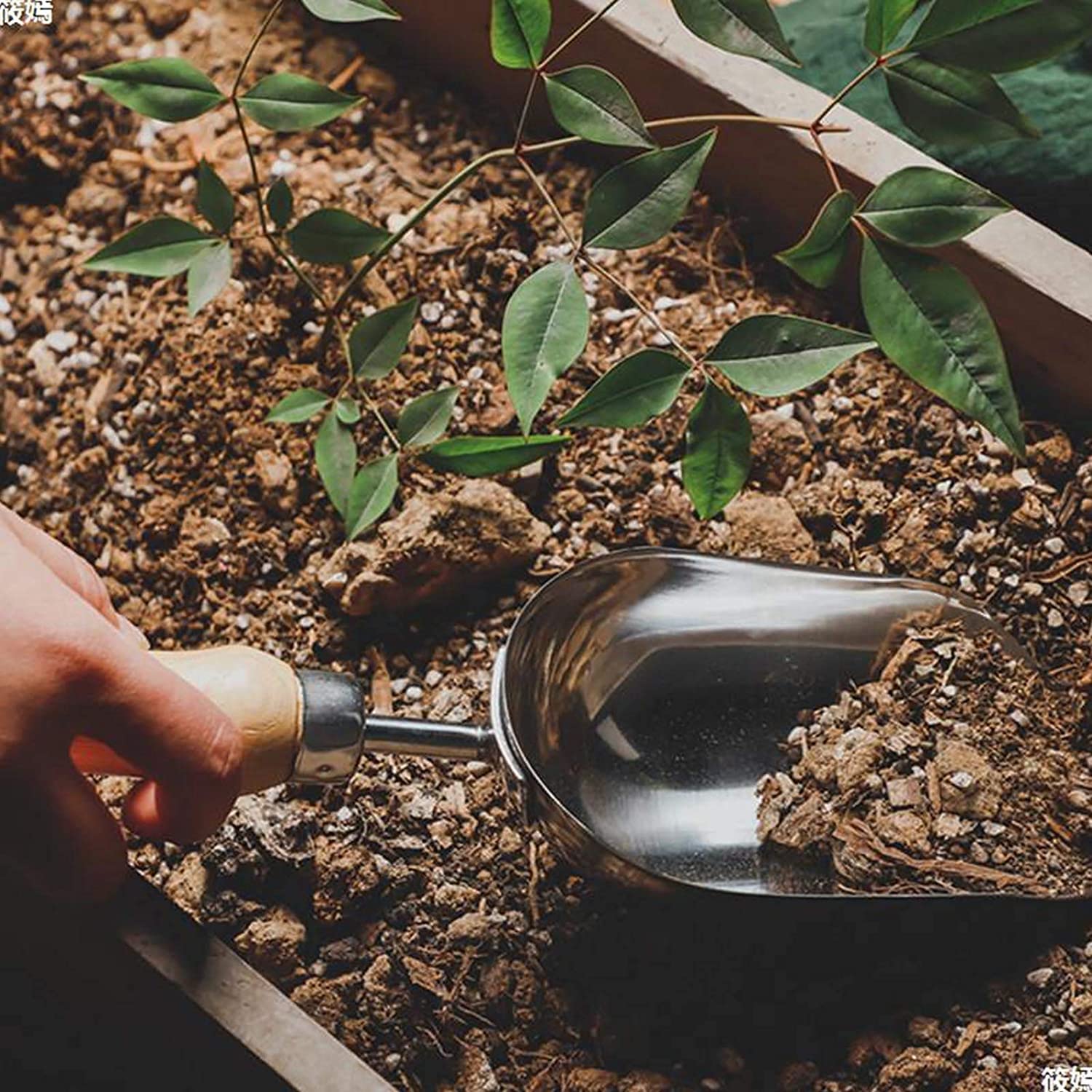Ensemble d'outils de Jardinage 3 pièces Kit d'outils de Jardinage en Acier à Haute teneur en Carbone avec pelles Ciseaux râteau sécateur