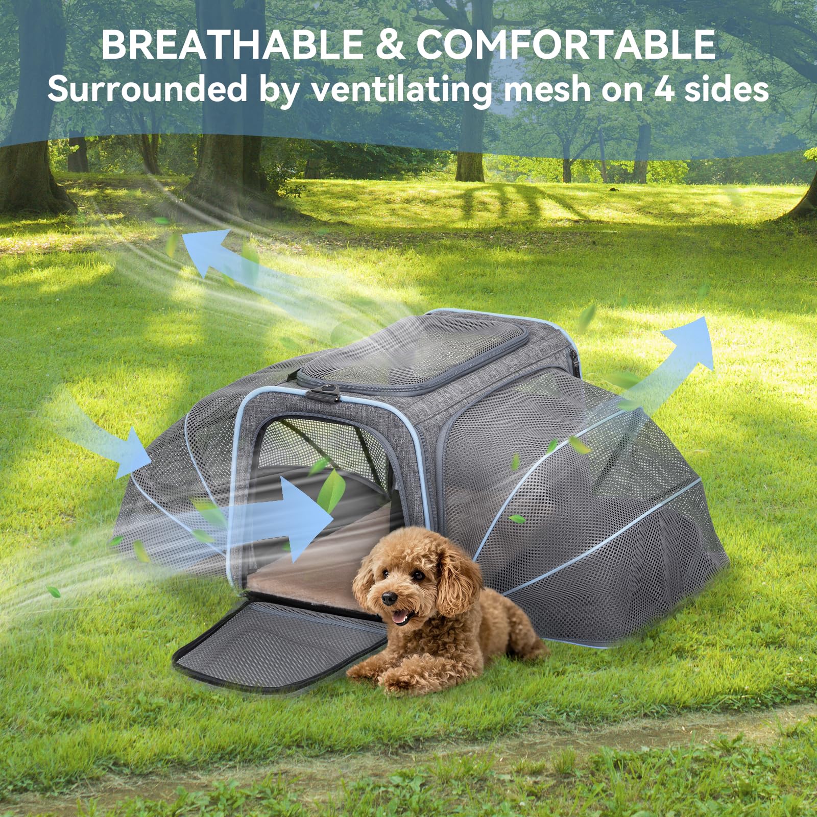 Petsfit Faltbarer Transporttasche Katze und Hund,erweiterbare Katzentransportbox mit Schultergurt Hundetragetasche Flugtasche Oxford Gewebe für Katze und Hund, M/Grau/Doppelseitig