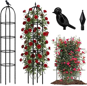 2 Pack 6.2ft High Adjustable Garden Trellis for Climbing Plants, Black | Black coated steel stakes, Tomato cage trellis, Climbing support, Flower trellis, Vine holder, Outdoor stand, Adjustable