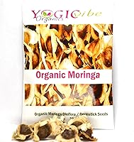 Vista 3 de 30 semillas orgánicas de moringa oleifera no transgénicas para germinar, plantar, cocinar. Semillas sin procesar con alas. Cultiva moringa: tiene