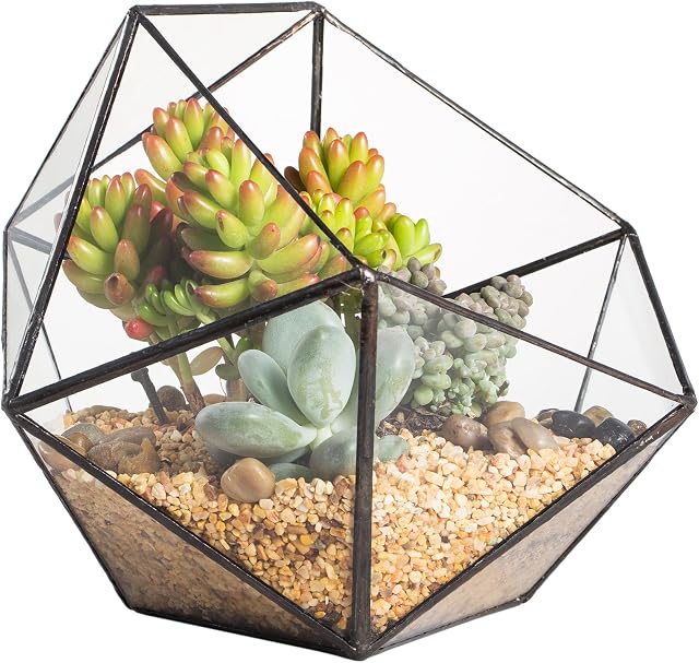 NCYP Modern Handmade Glass Geometric Plants Terrarium for Succulents, Balcony Window Sill Triangular Half Ball Bowl Shape Flower Pot, Clear Centerpiece, Wedding Decor Planter (No Plants Included)