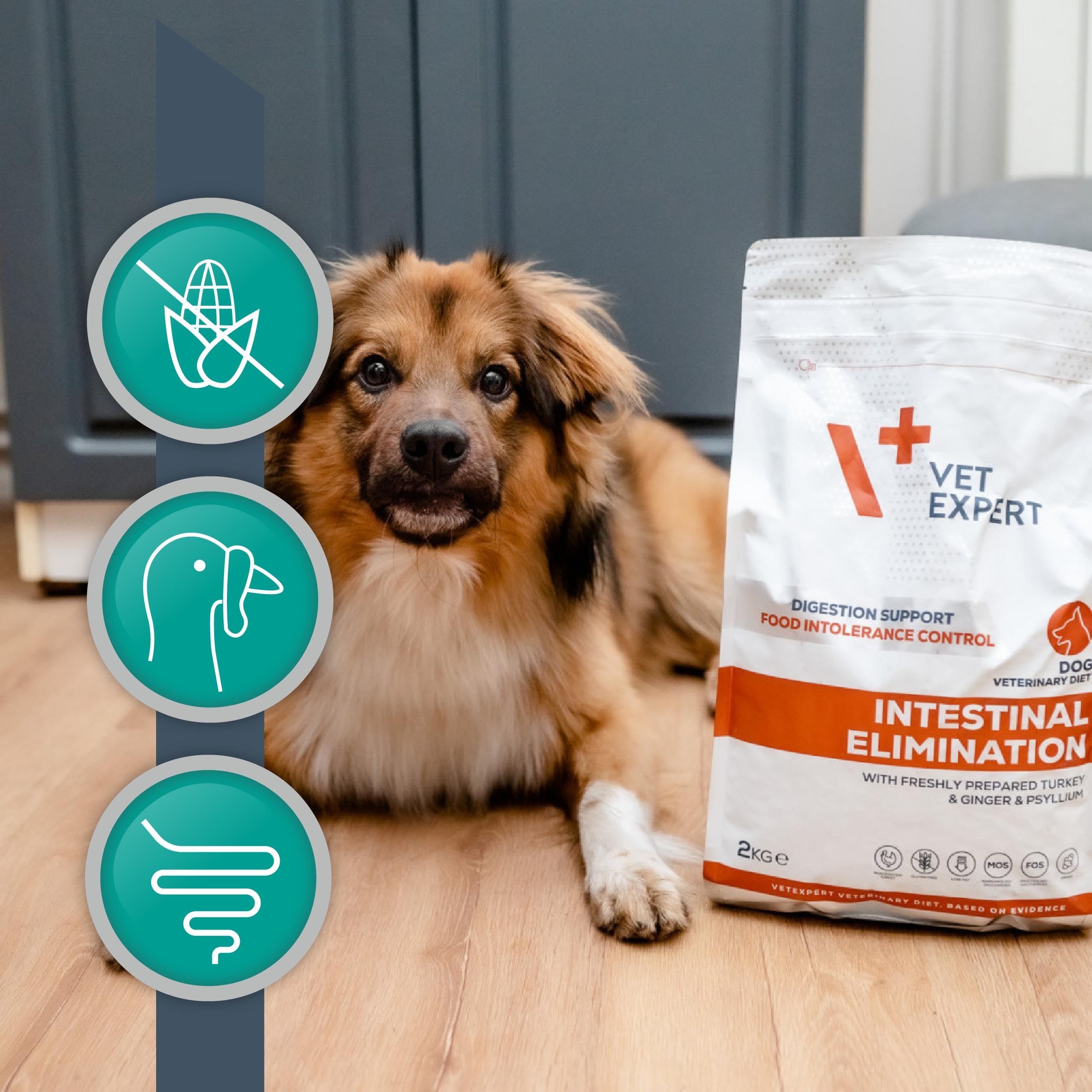 VET EXPERT INTESTINAL ELIMINATION DOG 12 kg - sucha karma weterynaryjna dla psów z zaburzeniami trawienia i wchłaniania oraz dieta eliminacyjna