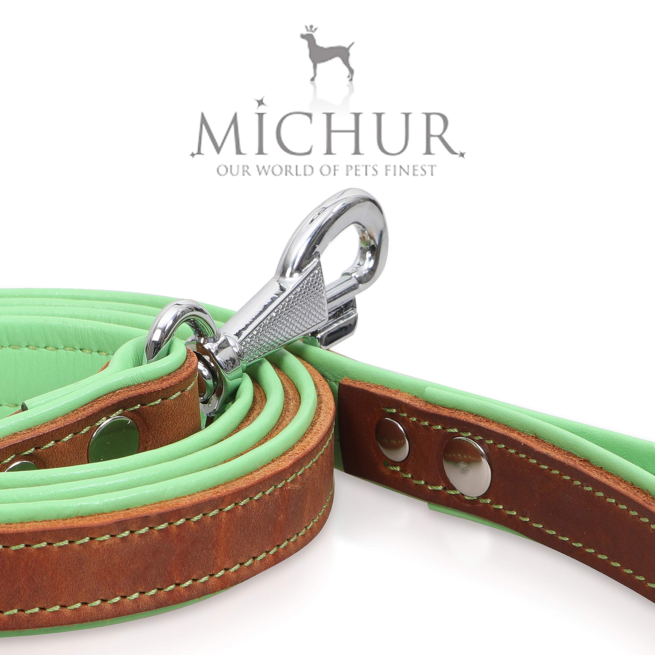 MICHUR Charly Grün Leine, Hundeleine Leder, Lederleine Hund, PASSEND ZUM Halsband Charly, Braun, Leder