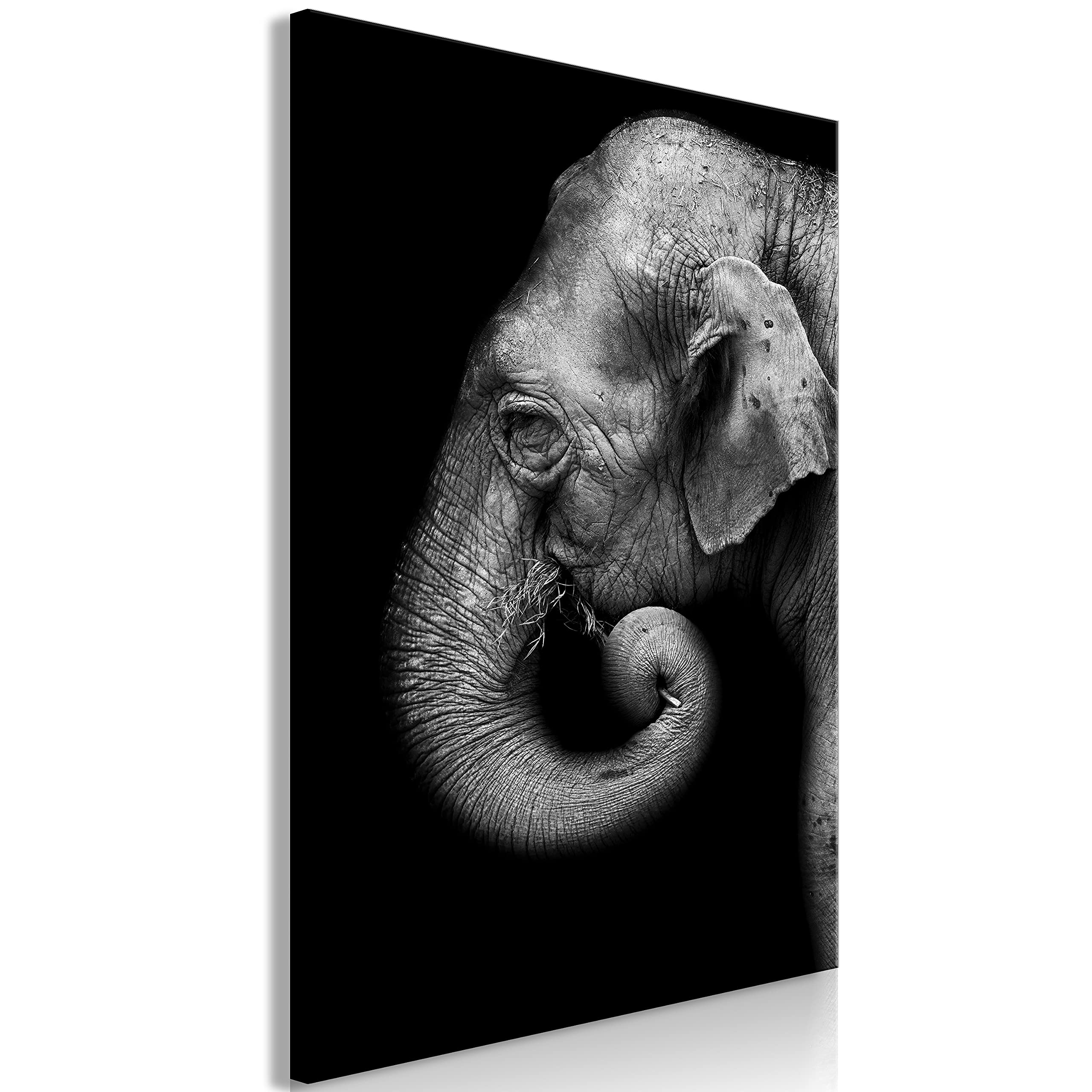 artgeist Acoustic Canvas Wall Art Print Elephant 24x35 in - 1pcs Picture with Acoustic Foam Sound Print Artwork Room Acoustics Soundproofing Animals Eye Black Grey g-B-0109-b-a