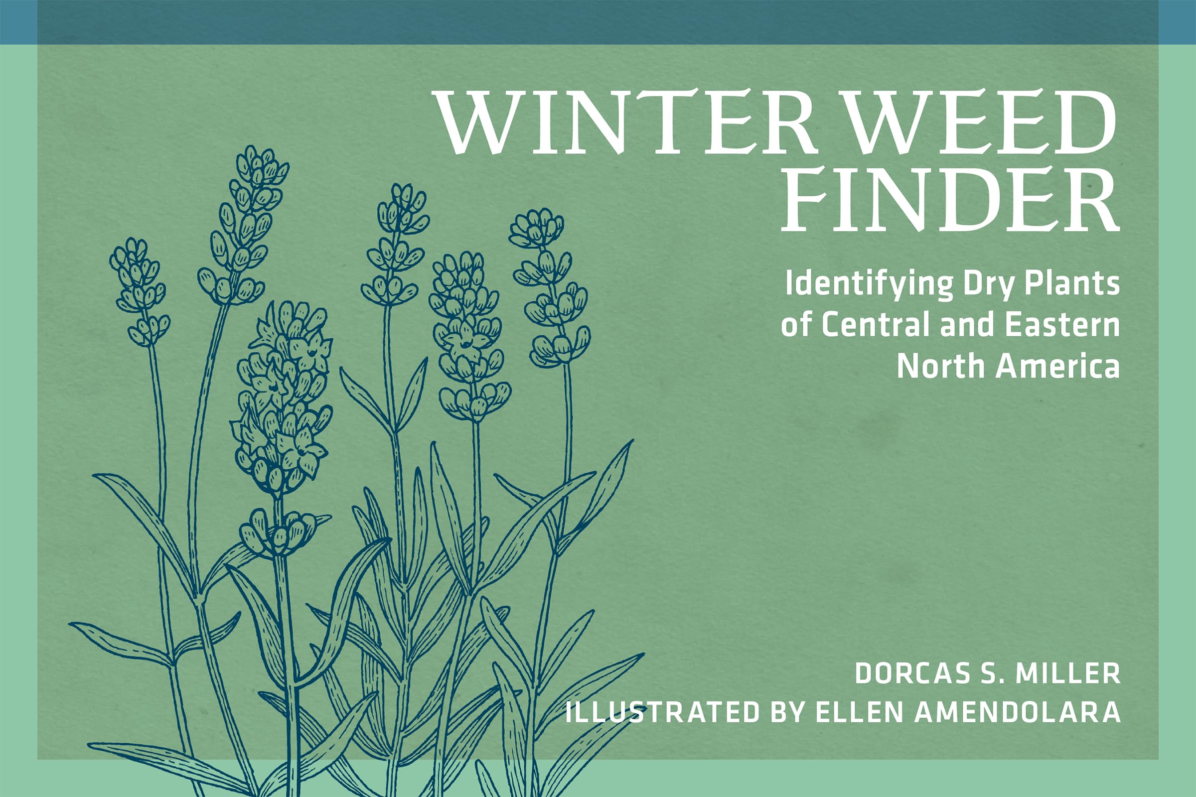 Winter Weed Finder: Identifying Dry Plants of Central and Eastern North America (Nature Study Guides)