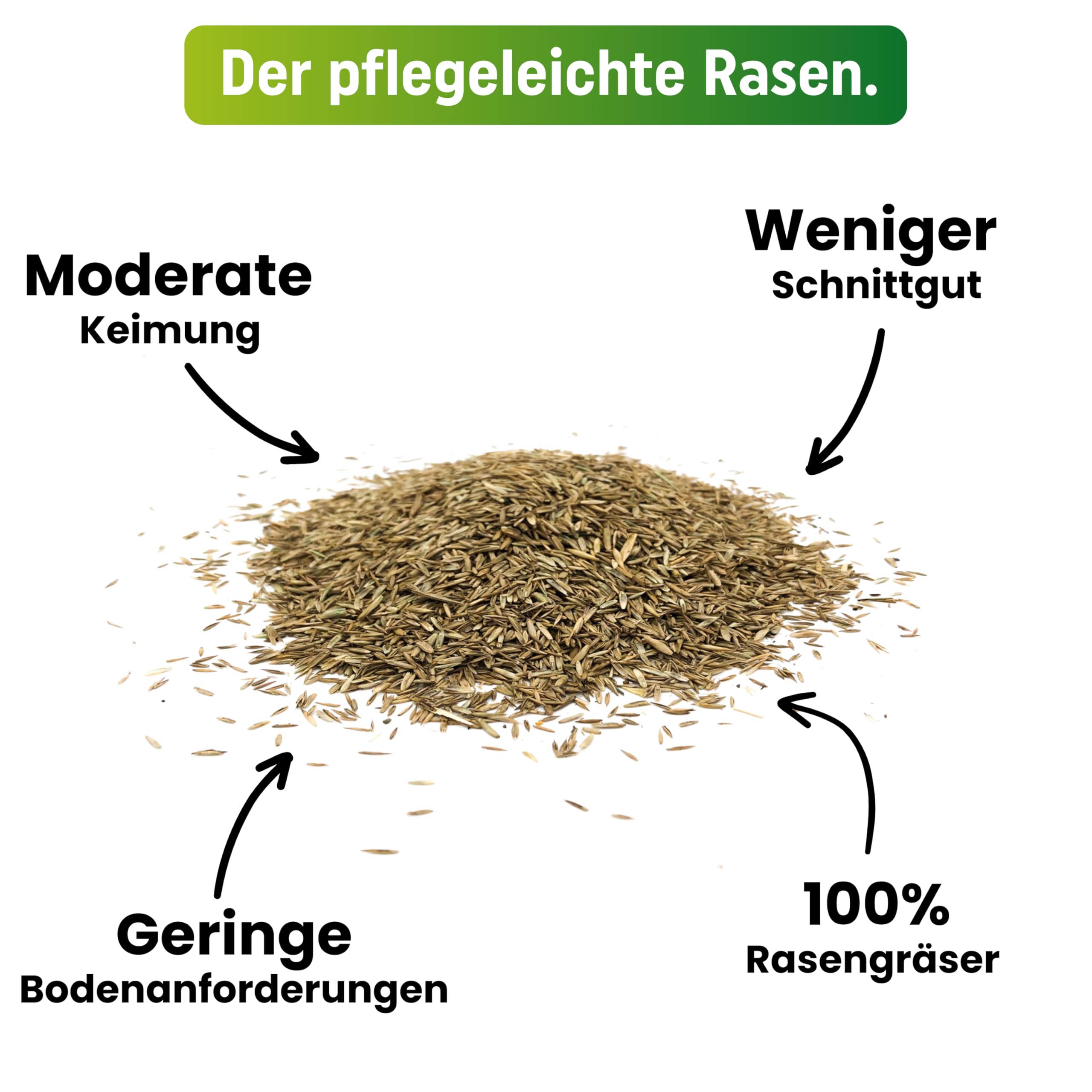 Greenyp® Super Gazon, décoratif, vert luxuriant, de qualité supérieure, semences d'herbe, semences d'herbe particulièrement denses 5 kg pour 200 m²