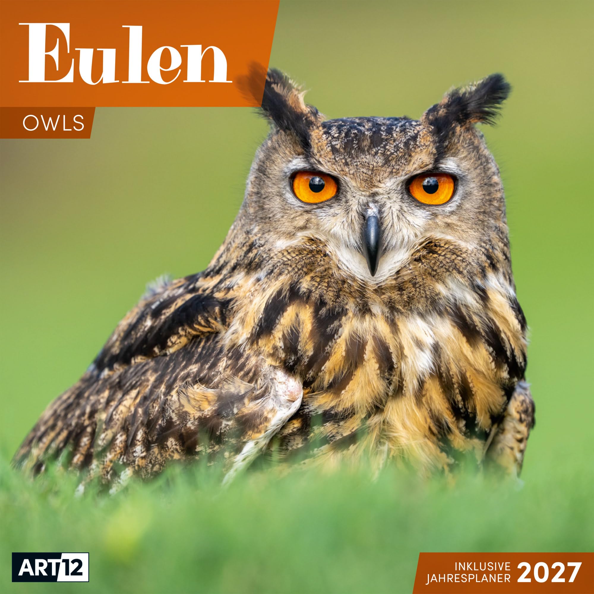 Eulen Kalender 2027 - 30x30 - Art12: Stilvoller Tier-Kalender im schlanken Hochformat (aufgeklappt 30x60 cm) | mit Eintrage-Kalendarium