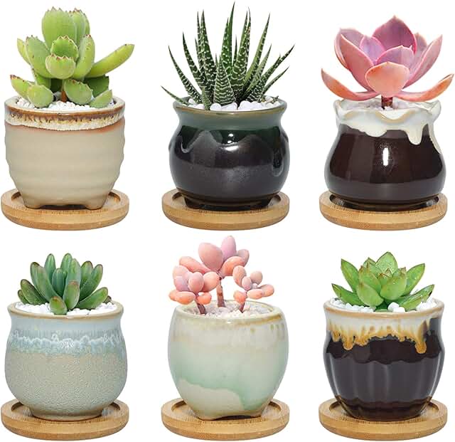 Amazon.co.uk small plant pots