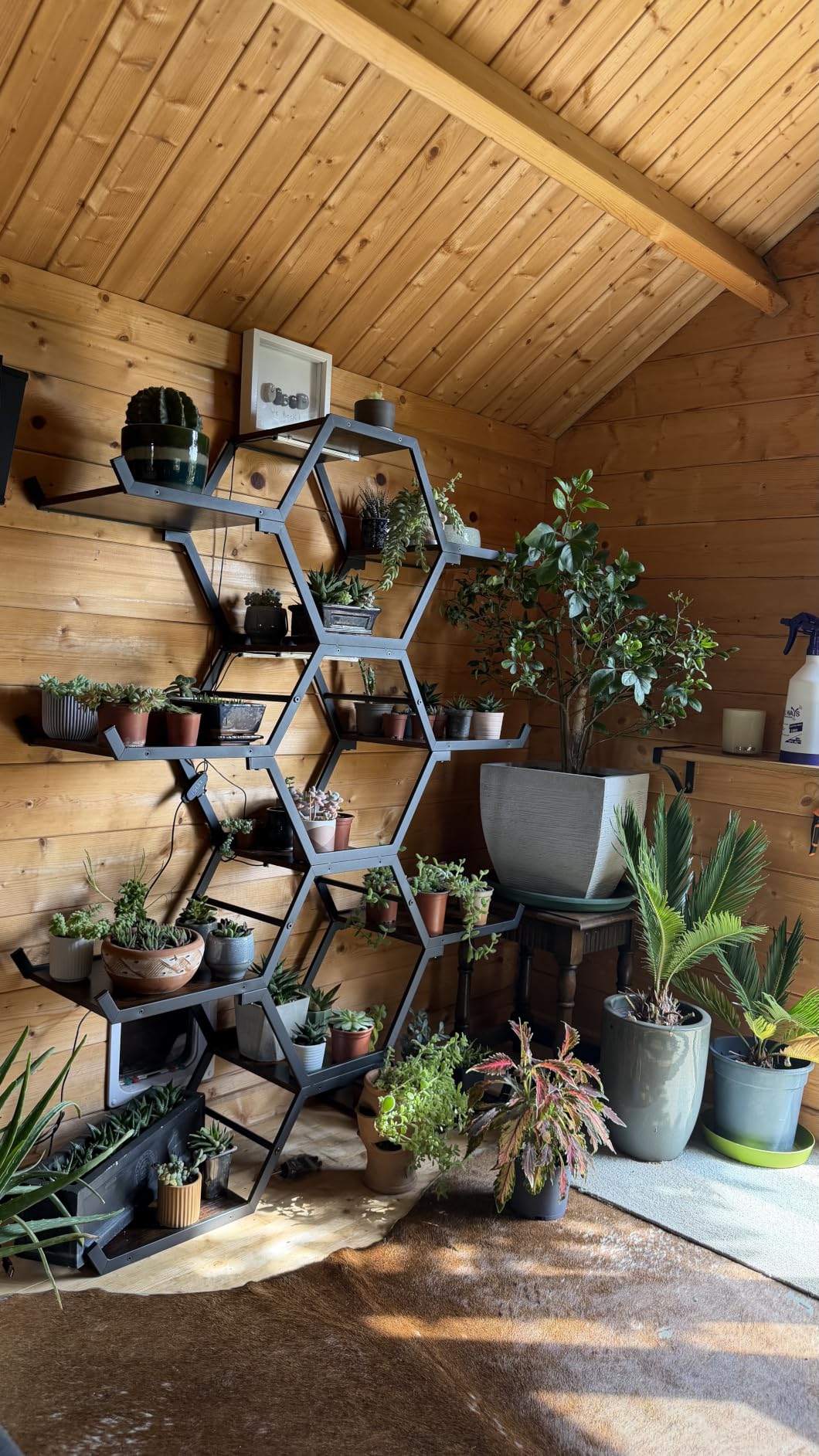 Customer photo