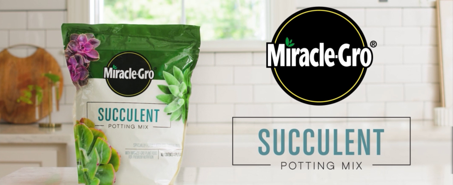 Amazon.com : Miracle-Gro Succulent Potting Mix - Potting Soil Mix for  Indoor Succulents, Aloe Vera and More, Made with Miracle-Gro Plant Food, 4  qt. : Patio, Lawn & Garden