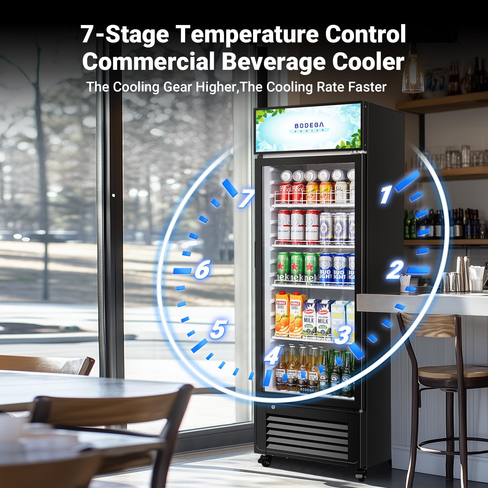 Bodegacooler Beverage Refrigerator, 321l/339 Qt Commercial Refrigerator For Kitchen, Home,Office And Garage, 300 Cans & 160 Bottles Display Refrigerator For Beer,Soda, Bar Cooler With Soft LED Light. on Fridge.com - View 5