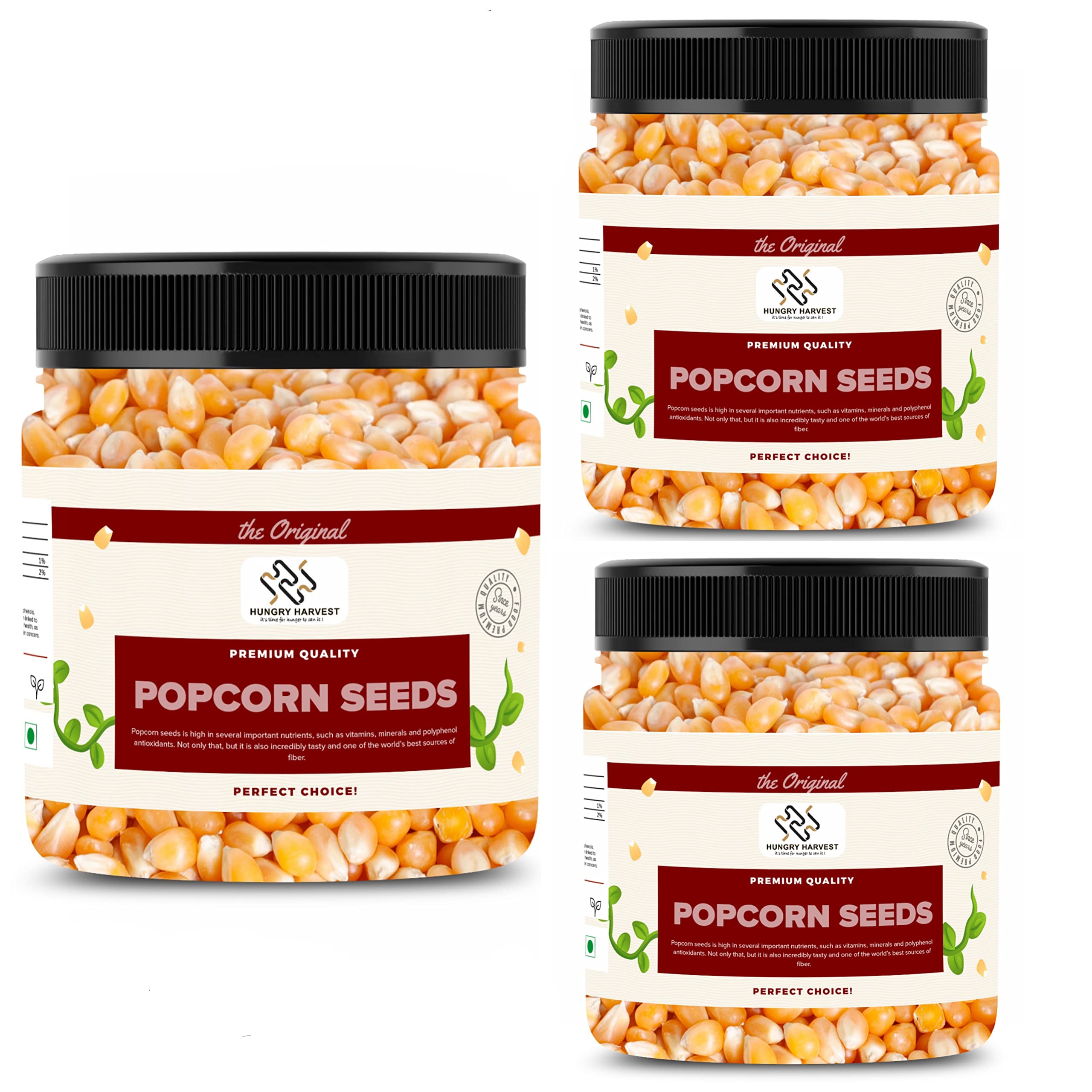Hungry Harvest Popcorn Kernels Seeds Popping Kernels & Movie Popcorn Kernels| Ready to Cook| Homemade-Healthy Snack (Extra Soft Popcorn Makka | Makai Jar Pack| (900 Grams (Pack of 3 of 300 Grams))-image-44