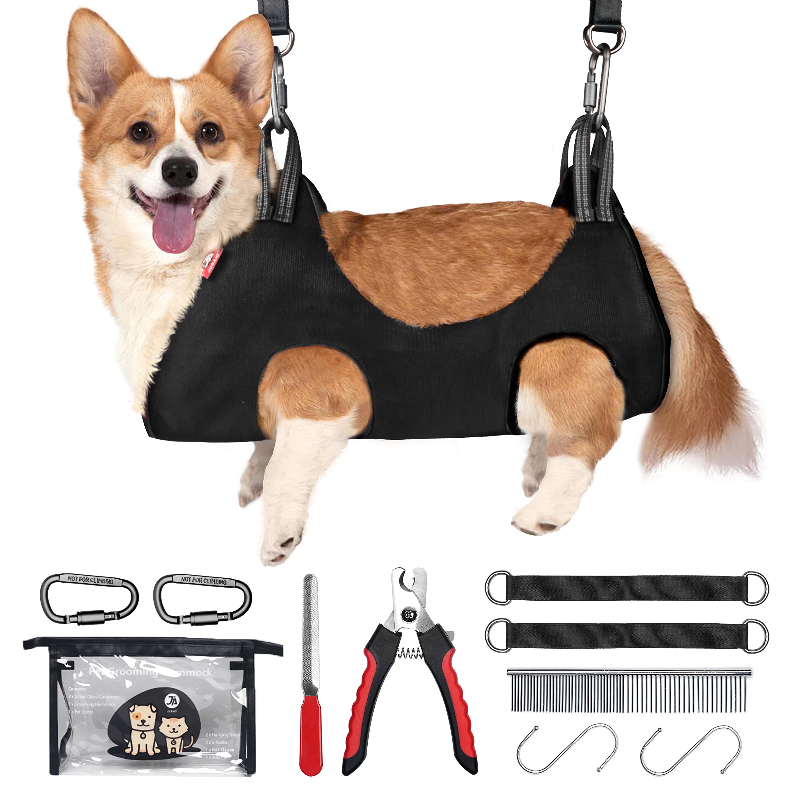 Is It Okay To Bathe A Nursing Dog