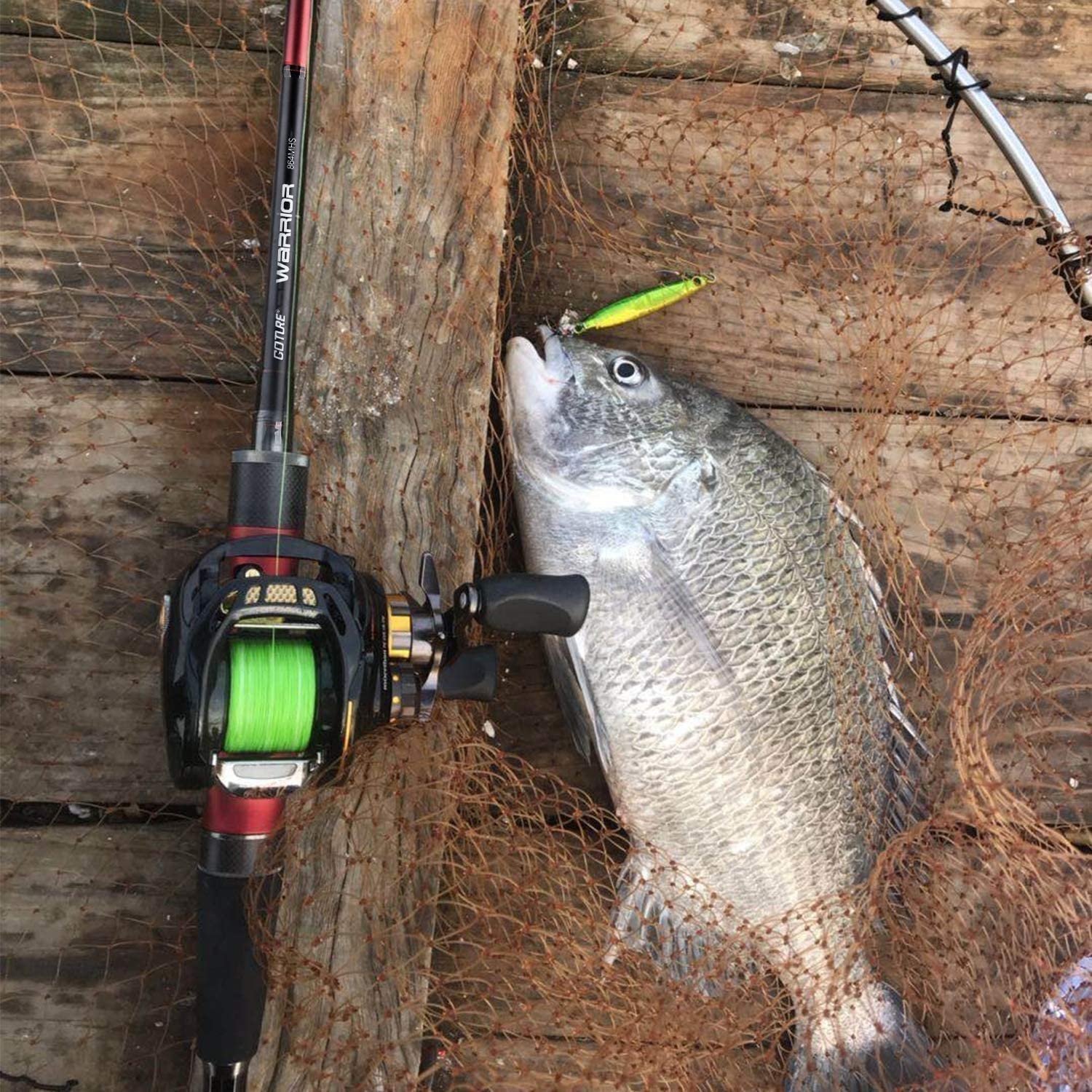 Amazon.co.jp: Goture Warrior Compact Egg Rod Sea Bass Squigging 