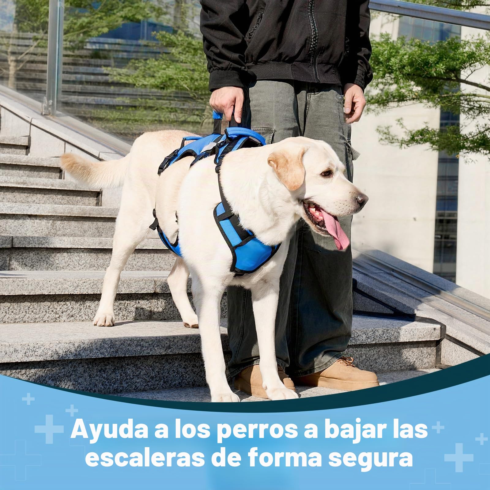 arnés Elevador para Perros medianos, arnés de Soporte Corporal Completo con 3 Asas y Correa para Hombro, Ayuda de Movilidad para Perros Mayores con Artritis, escaleras, Azul, M