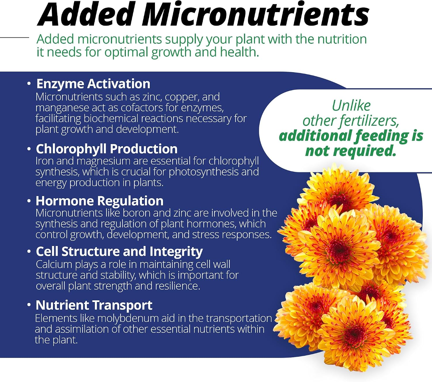 Jack's Professional 22-5-16 Mum Feed Water-Soluble Fertilizer with Micronutrients for Compact Mum Growth in Continuous Liquid Feed Programs, 25lbs