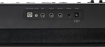 Kurzweil Ka E1 88-Key Fully-Weighted Hammer Action Digital Piano with 20 flagship Voices + Power Supply + Sustain Pedal (Black)