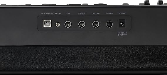 Kurzweil Ka E1 88-Key Fully-Weighted Hammer Action Digital Piano with 20 flagship Voices + Power Supply + Sustain Pedal (Black)