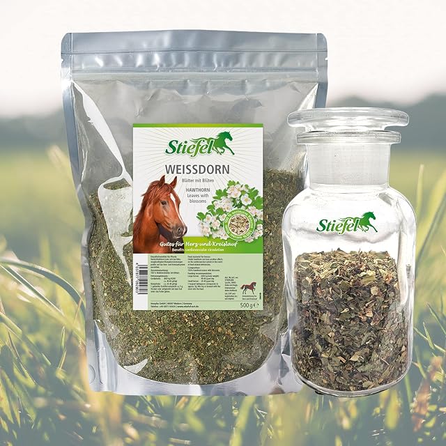 Foto 2 de 3 de Stiefel Espino