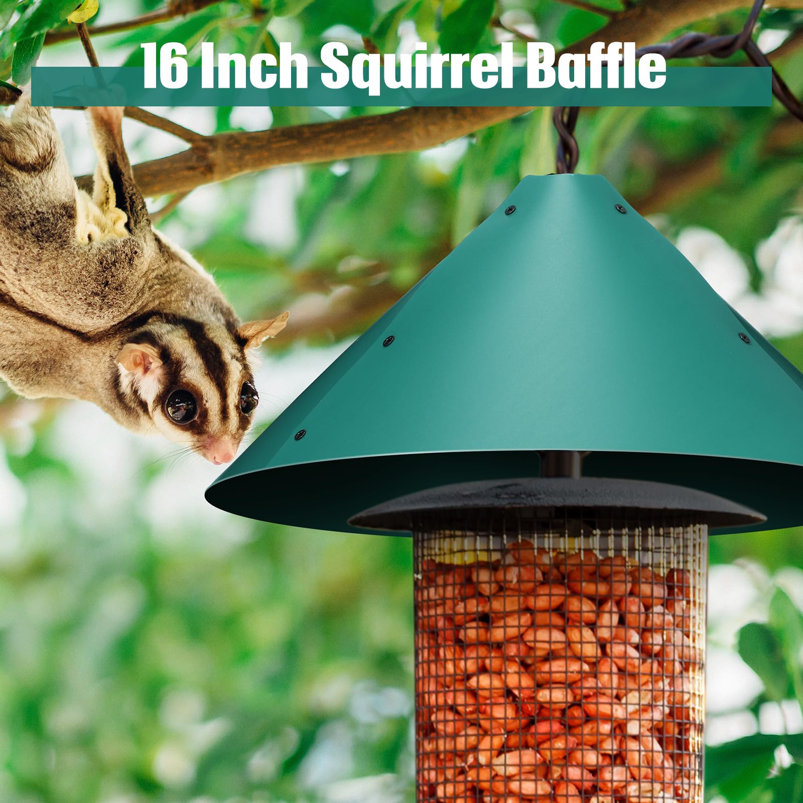 Snapklik.com : Qualirey Squirrel Baffle For Bird Feeder Bird House