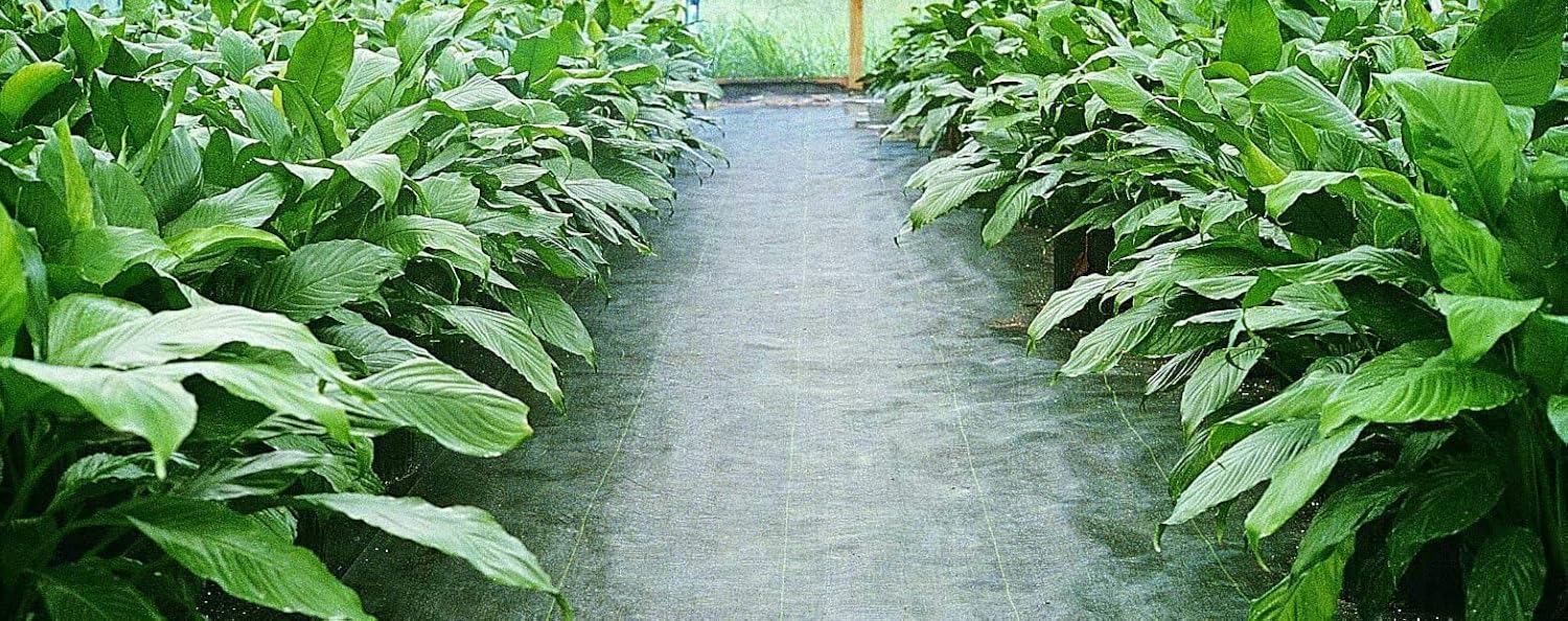 Be Cool Solutions Ground Cover, (4ft X 300ft) - UV Protected Polypropylene - Heavy Duty Landscape Soil and Weed Barrier with Grid Strips - Geotextile Fabric Blocker for Garden, Greenhouse, Flower Beds